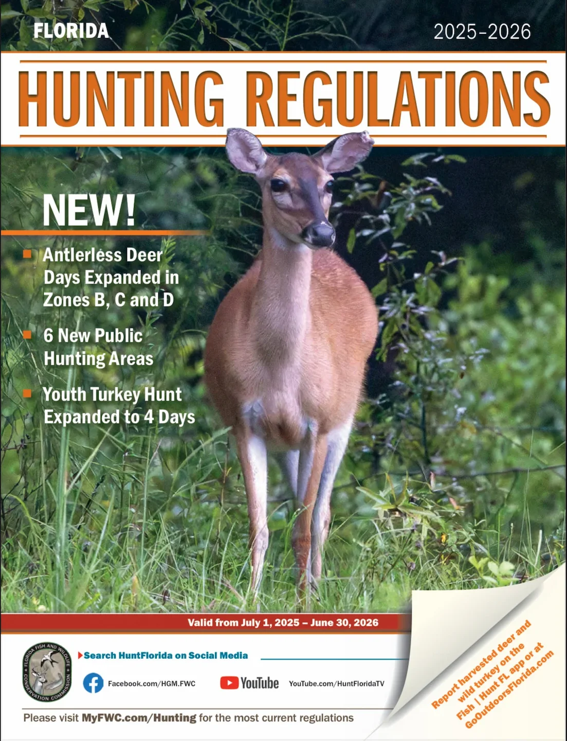 HUNTING SEASONS IN FLORIDA 2025–26: Deer Hunting Big Game and Small Game, Licenses, and Regulations Guide