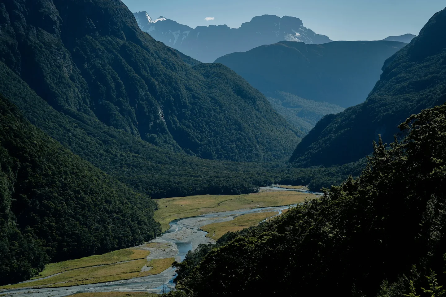 Hunting in Catlins Forest: find curious hunting facts, seasons, laws, clubs and associations in the heart of New Zealand…