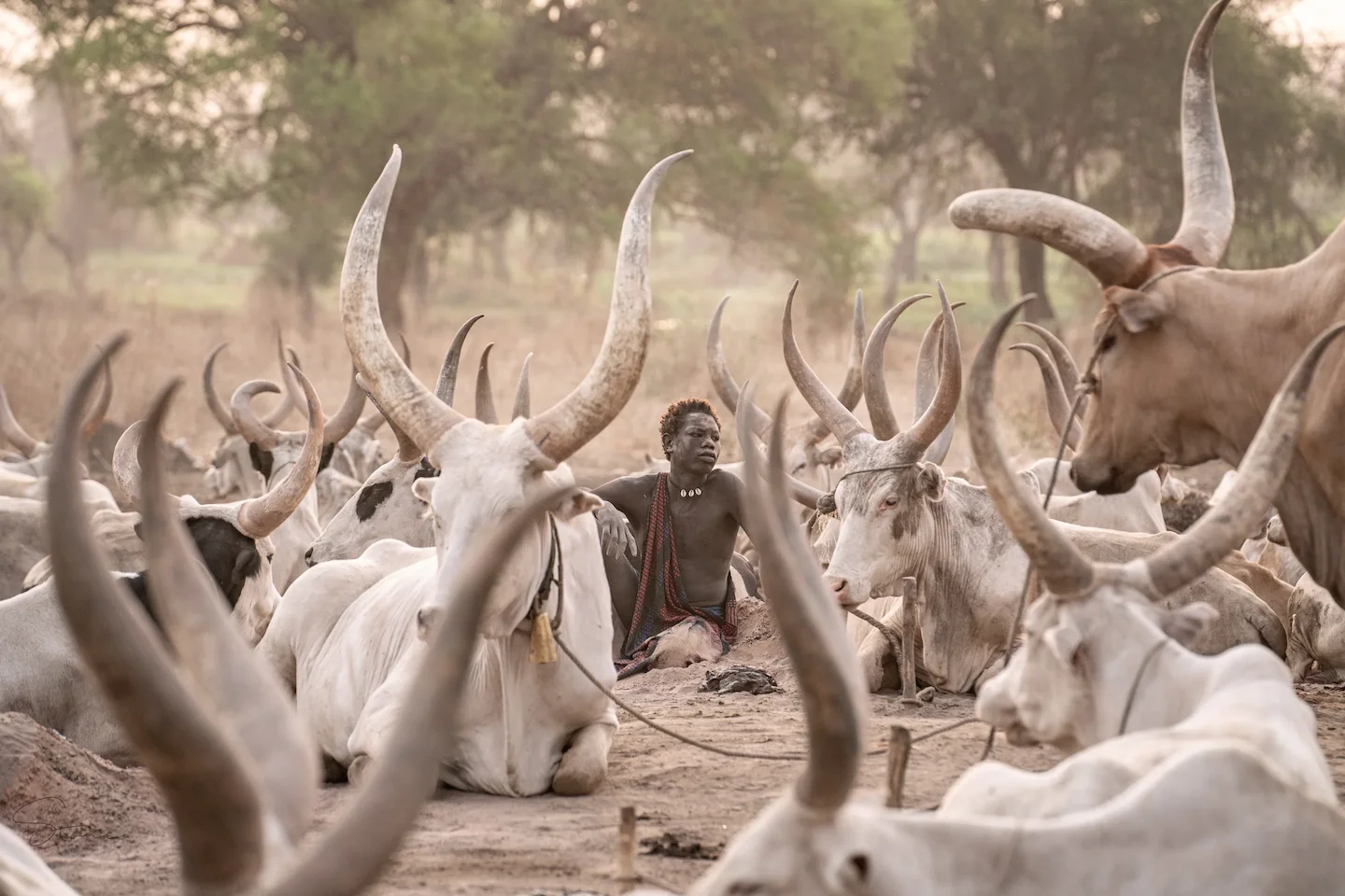UN Commission Warns South Sudan is “Dangerously Close” to New Mass Violence