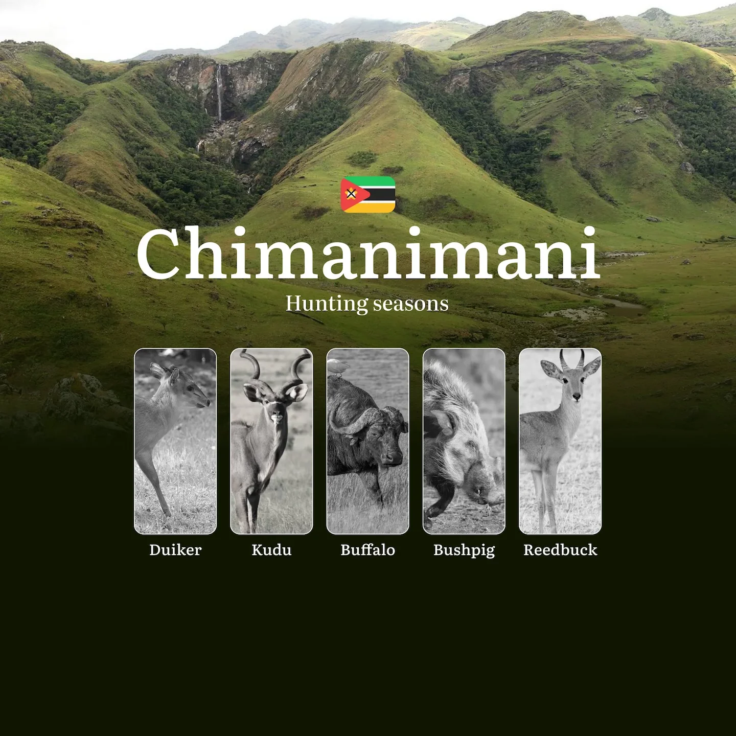 From Cloud Forest to River Valley: Mastering the Hunting Seasons in Mozambique's Chimanimani Frontier