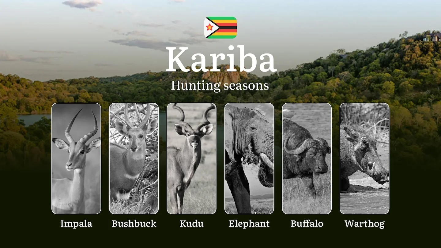 Seasons of Hunting in Zimbabwe, The KARIBA Region: Restrictions and Protected Species, Regulations, Licenses, and Tips f…