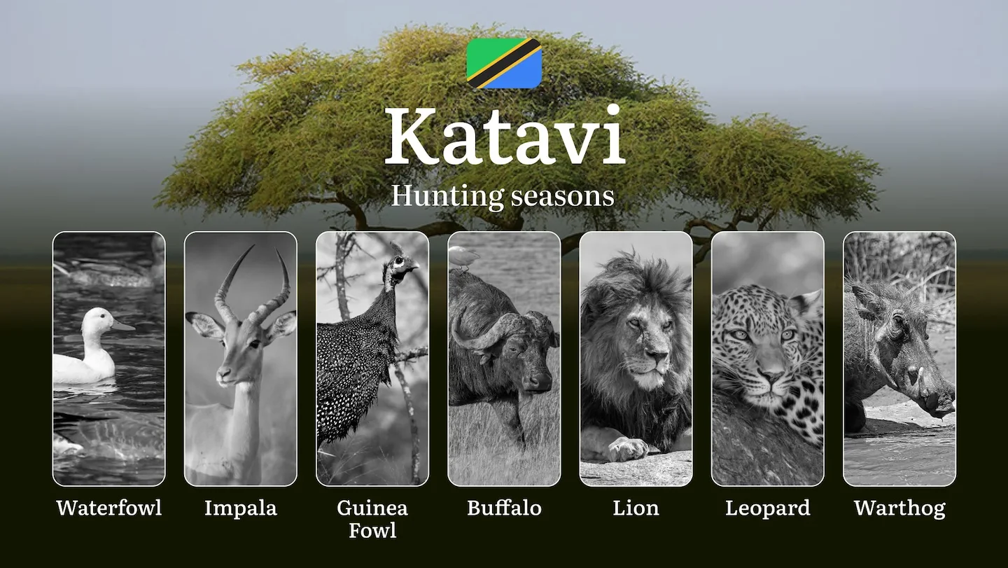 Hunting Calendar for Katavi: Prime Times for Big and Small Game, Restricted Areas, Regulations and Exemptions, Obtaining…