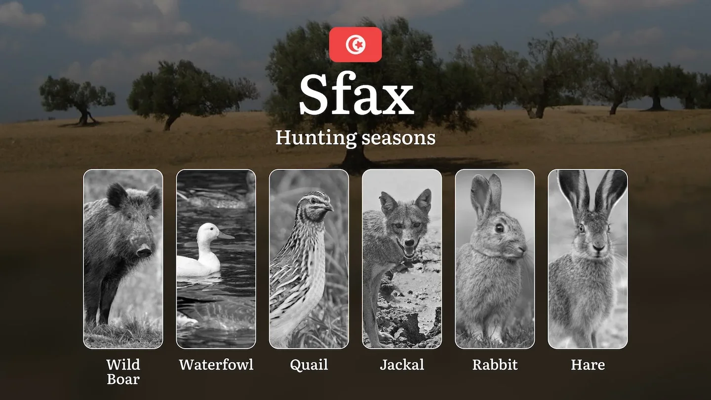 Hunting Seasons in SFAX: Opening and Closing Dates, General Rules, Protected Species, Legal Requirements and Penalties f…
