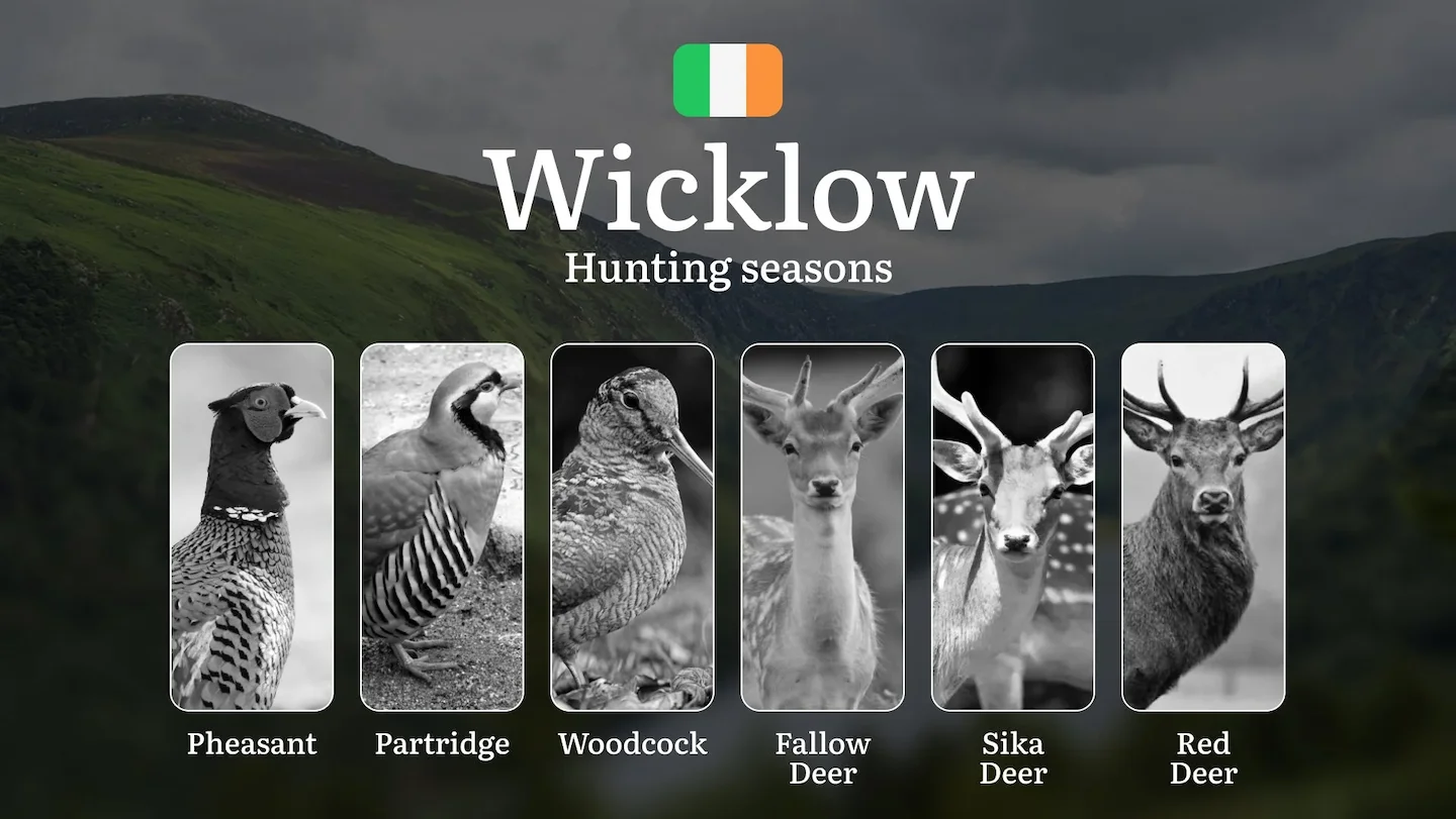 When the Land Stirs: Hunting Seasons, Calendar, Wildlife Cycles, and Traditions in WICKLOW