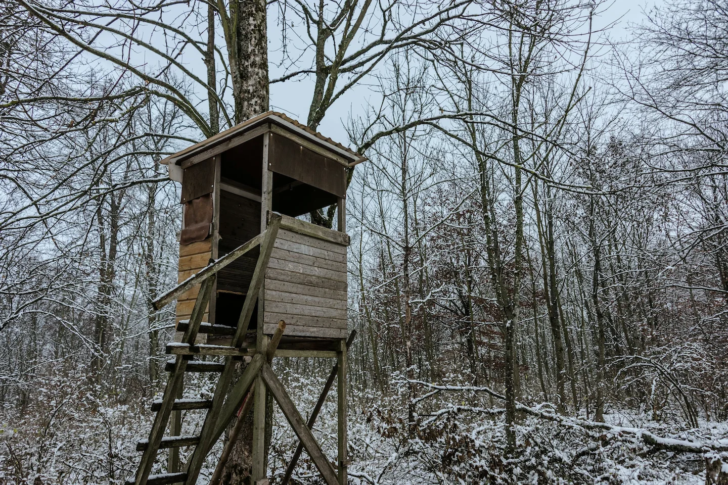 Winterjagd Tipps: Ausrüstung, Sicherheit, Wildverhalten