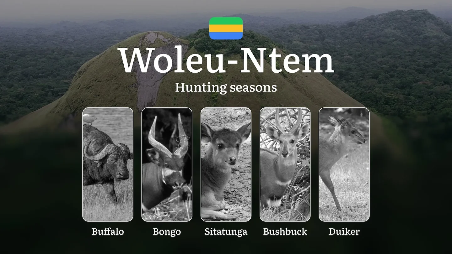 Hunting Seasons in WOLEU-NTEM: Optimal Timing, Required Permits, Penalties, Protected Species, Crucial Regulations and R…