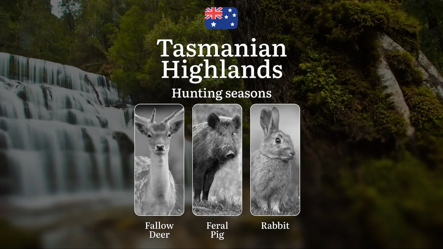 Tasmanian Highlands Hunting Calendar: When the Alpine Wilderness Calls - Fallow Deer, Wallaby and Mountain Pursuits