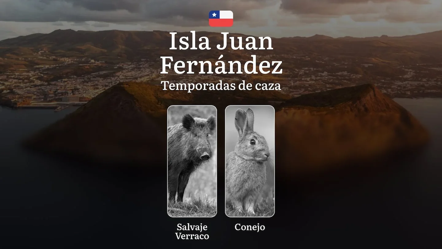 Temporadas de caza en la Isla Juan Fernández: fechas y normas de caza, prohibiciones y restricciones, consejos sobre tác…