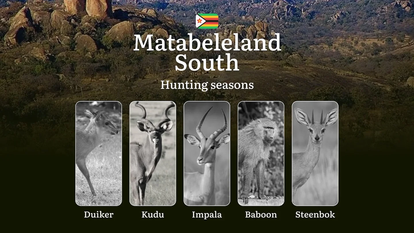 Hunting Dates in Zimbabwe in MATABELELAND SOUTH: Seasonality of Hunting, Timing and Regulations, Hunting Permits, Restri…