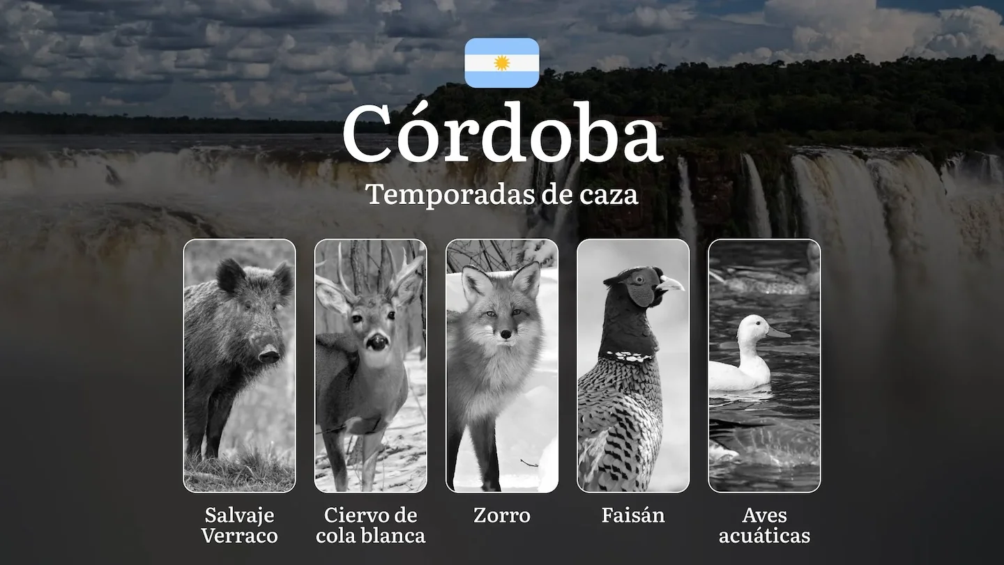 Cuándo y cómo cazar en la provincia de Córdoba, Argentina: guía completa sobre temporadas, licencias y normas, consejos…