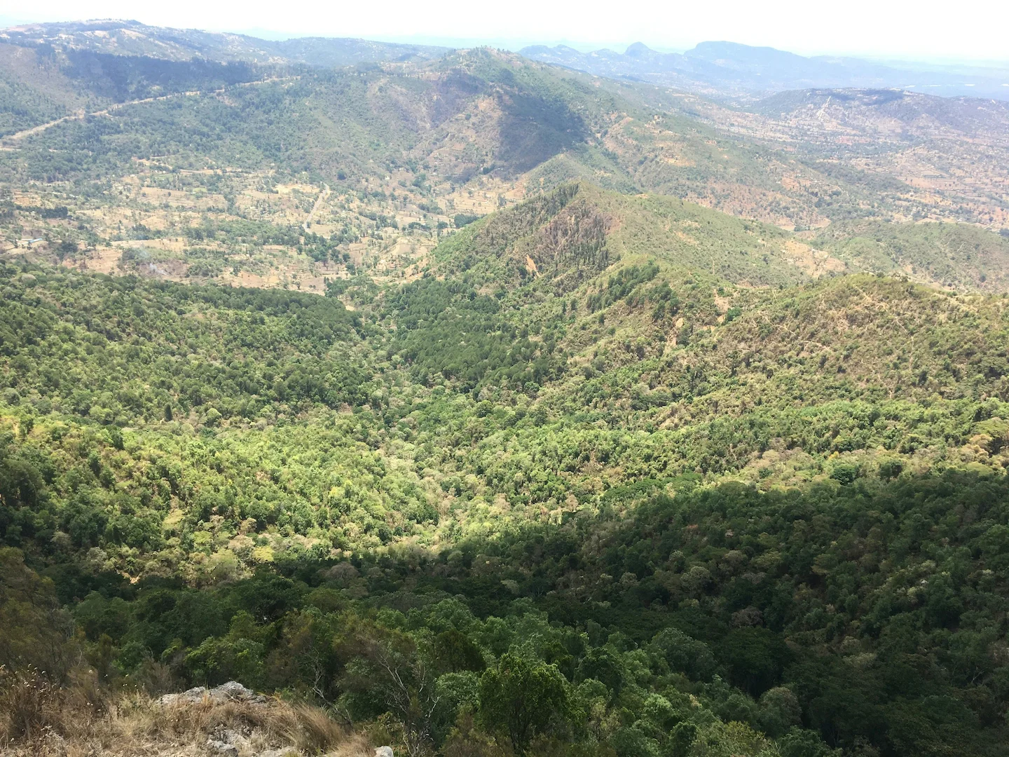 Oromia Region Hunting: Discover Majestic Wildlife, Ideal Hunting Seasons, and Rich Cultural Traditions – A Journey into…