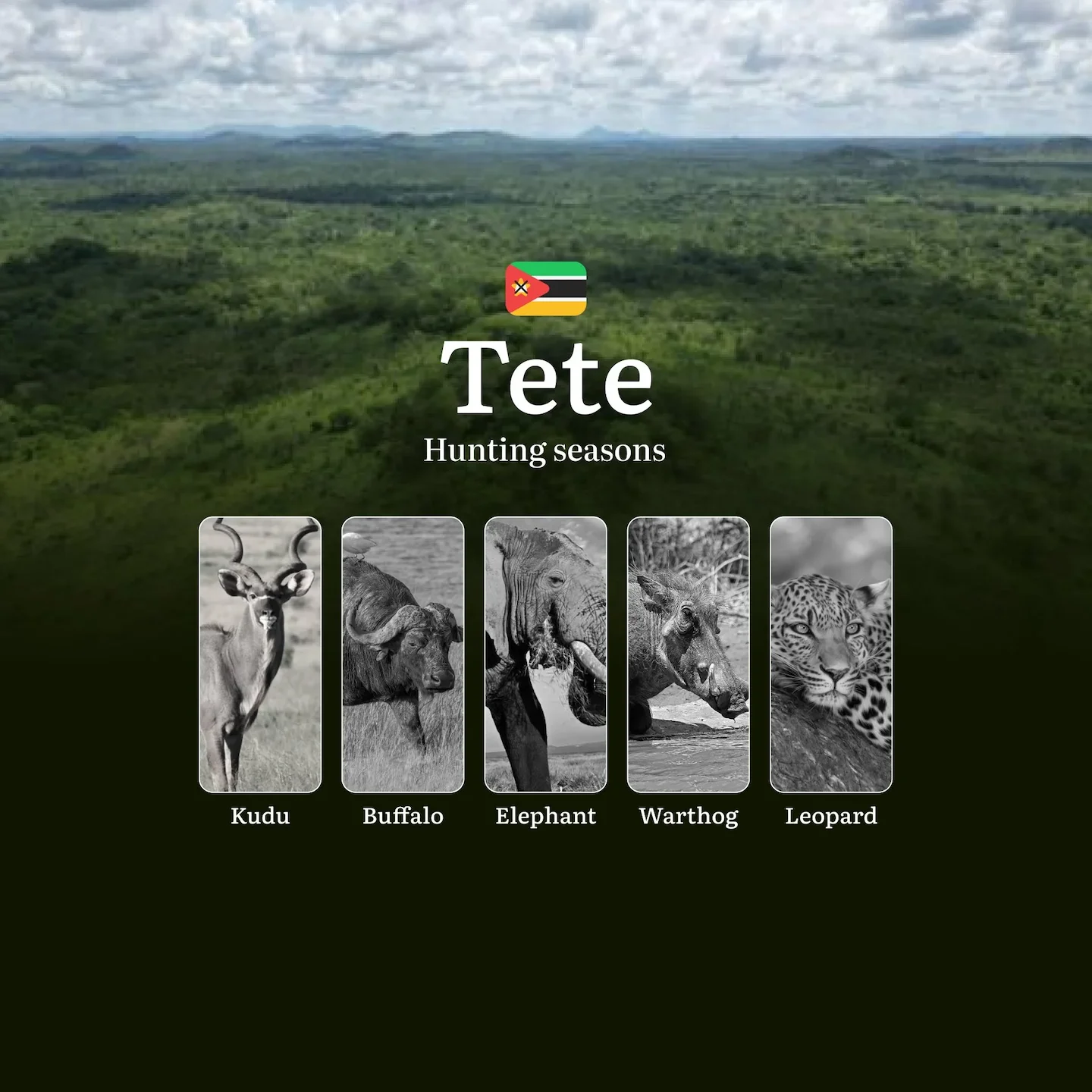 The Rhythm of Tete's Hunting Calendar– Where Desert Winds, Termite Mounds, and DNA Samples Tell the Story of Africa's La…