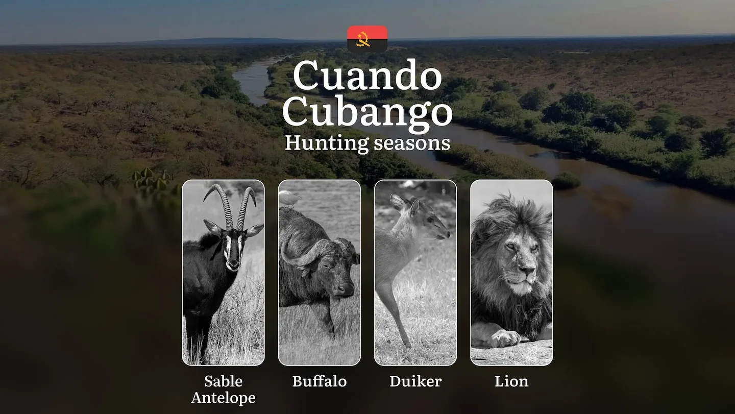 Hunting Seasons of Cuando Cubango: Exploring General Hunting Rules, Legislation and Permits, Hunter Events and Cultural…