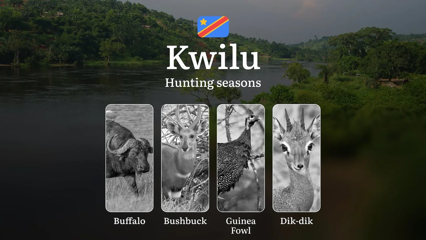 Kwilu (DRC): Hunting Seasons and Timing, Species Restrictions, Licensing Requirements, Strategic Advice on Timing and Eq…