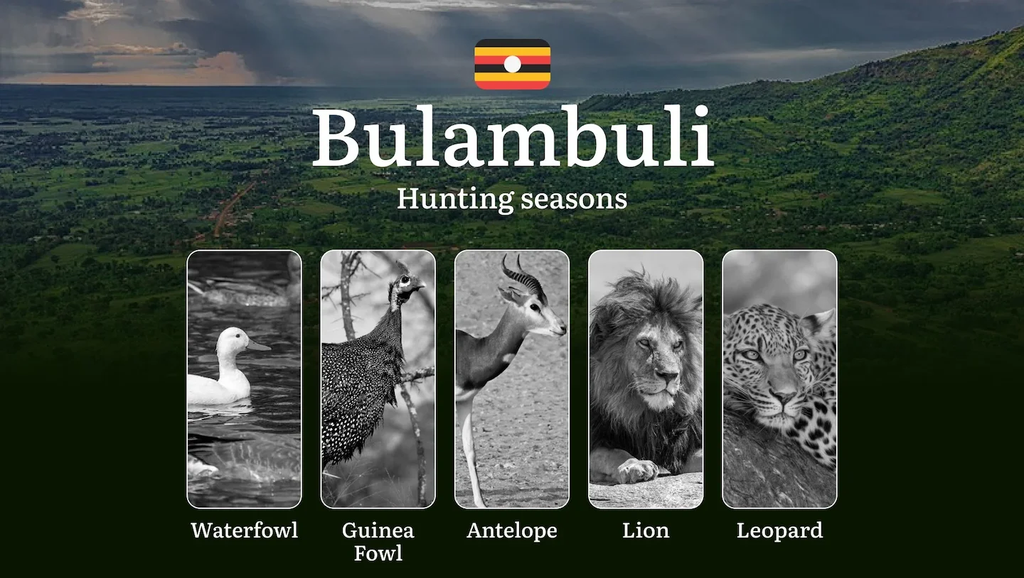 Permitted Hunting Intervals in Bulambuli: Year-Round Huntable Wildlife, Seasonal Migration of Game, and the Process for…