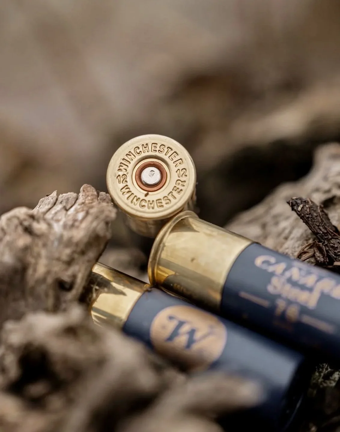 Winchester ZZ Canard 12 Gauge Steel Shotshell Review: High-Velocity Waterfowl Ammo for Duck & Goose Hunting
