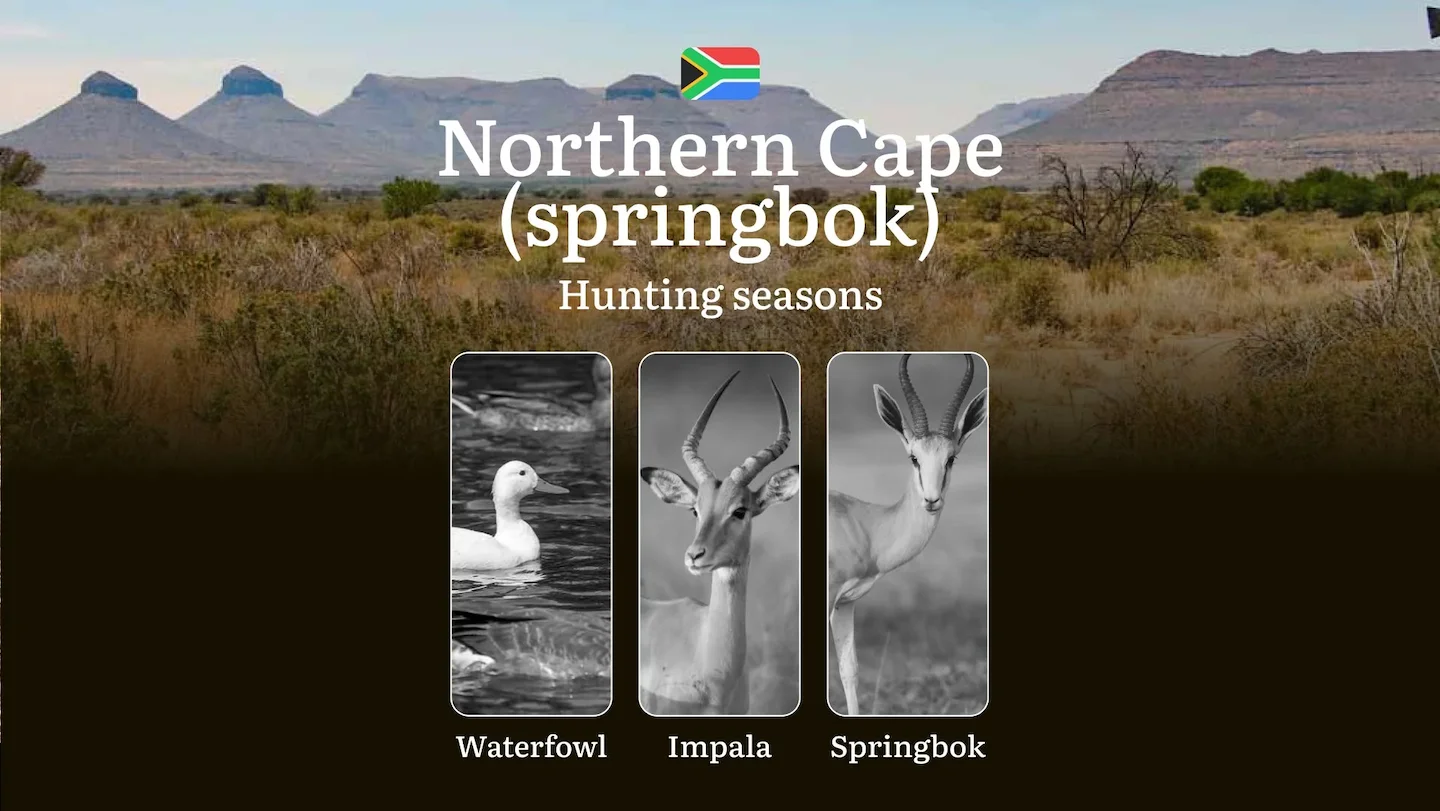 Hunting Seasons in Springbok Northern Cape, South Africa: Seasonality of Hunting, Hunting Permits and Limits, Rules and…