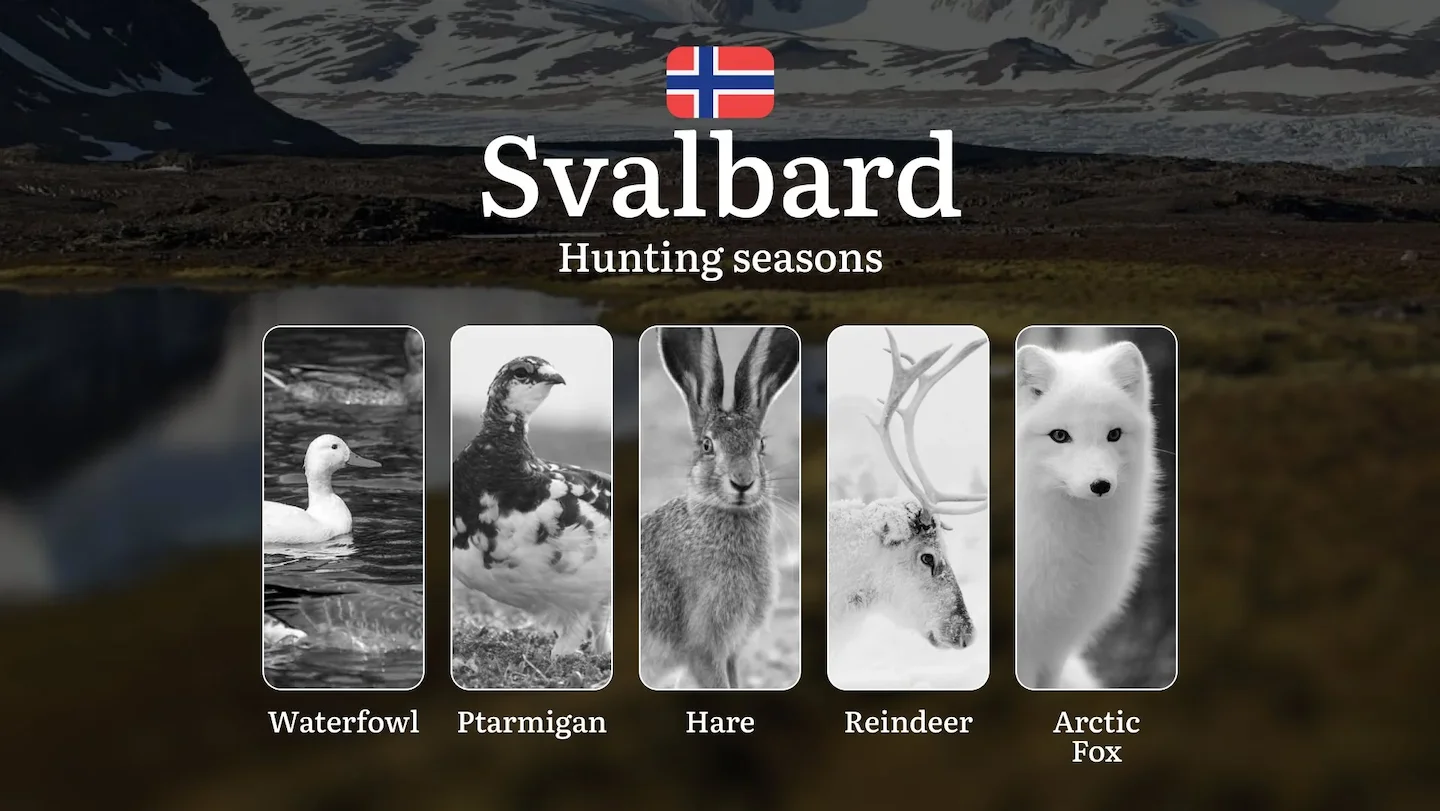 Hunting Periods and Permits in Svalbard: A Detailed Look at Game Movement Throughout the Year, Seasonal Limits, and How…