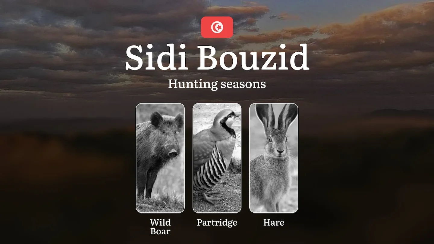 Hunting Seasons in SIDI BOUZID: Optimal Game Periods, Seasonal Regulations, Game Activity, Legal Consequences, Practical…