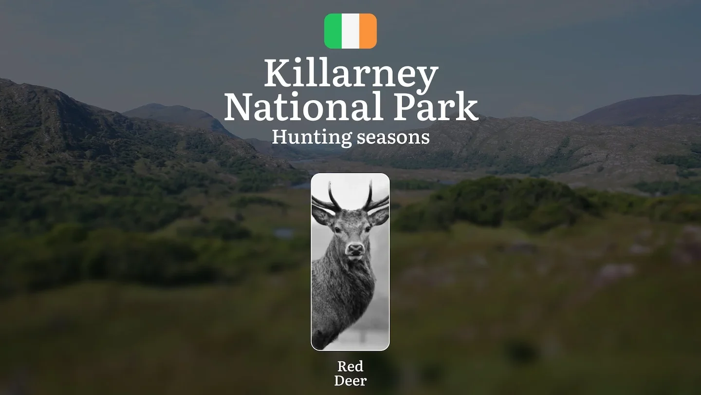 KILLARNEY NATIONAL PARK Hunting Seasons Decoded: Legal Dates, Prime Game Windows, and Essential Regulations in Ireland's…