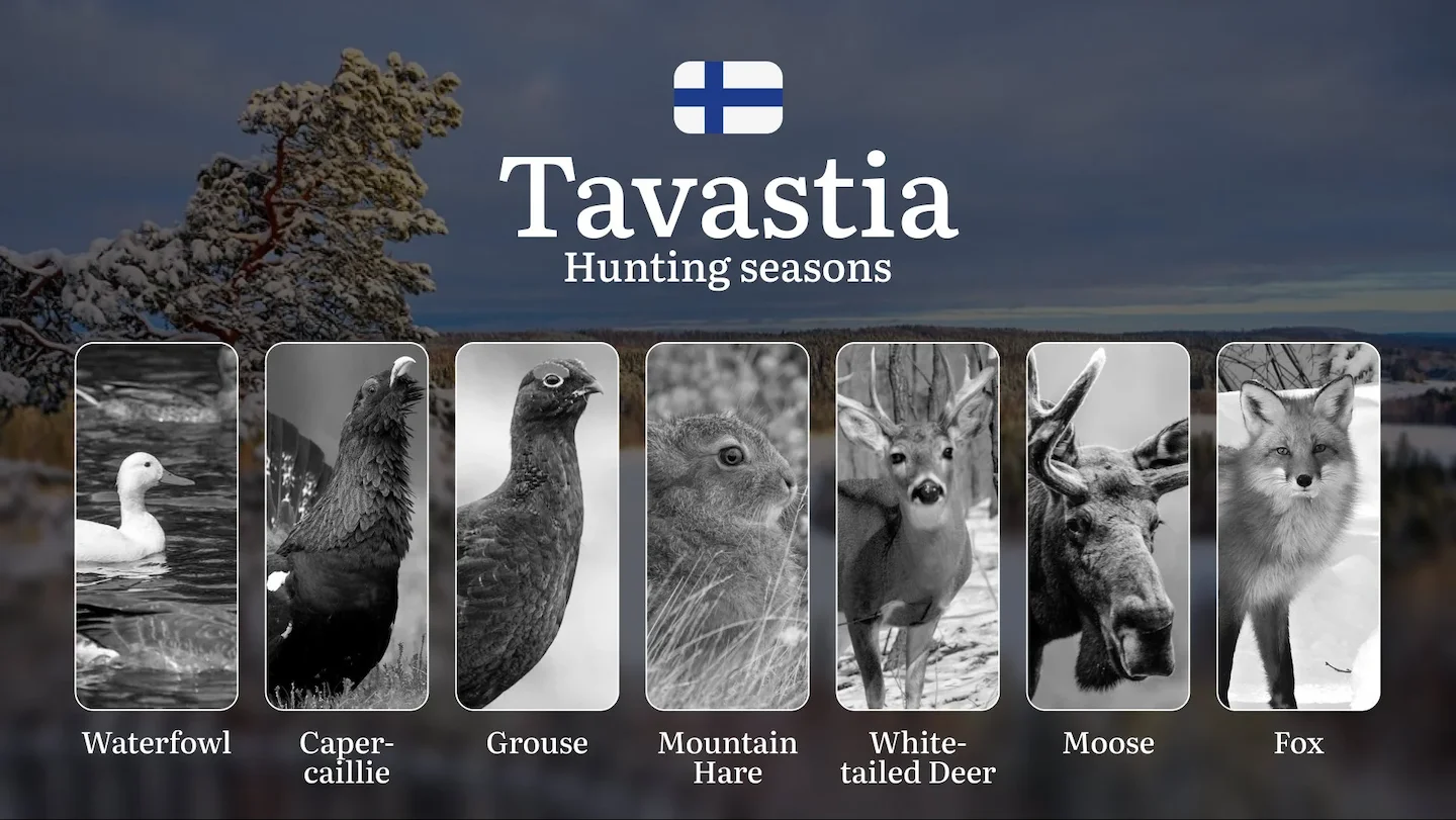 Hunting Seasons in TAVASTIA (HÄME): Opening and Closing Dates, Protected Species, Required Licenses and General Hunting…