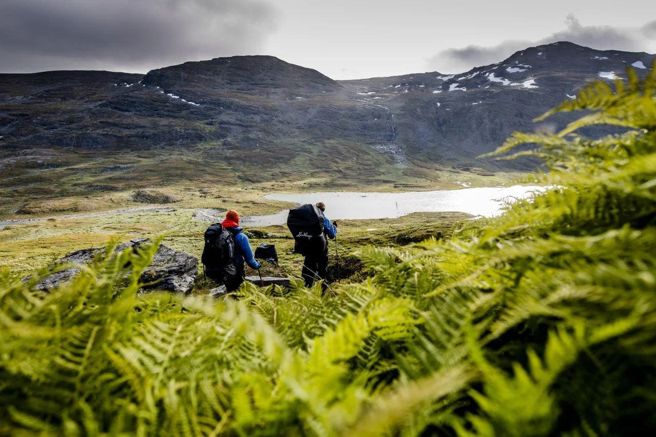 Court Denies Swedish Hunters' Right to Intervene in Critical Sámi Land Rights Case – What's Next for Hunting & Fishing?