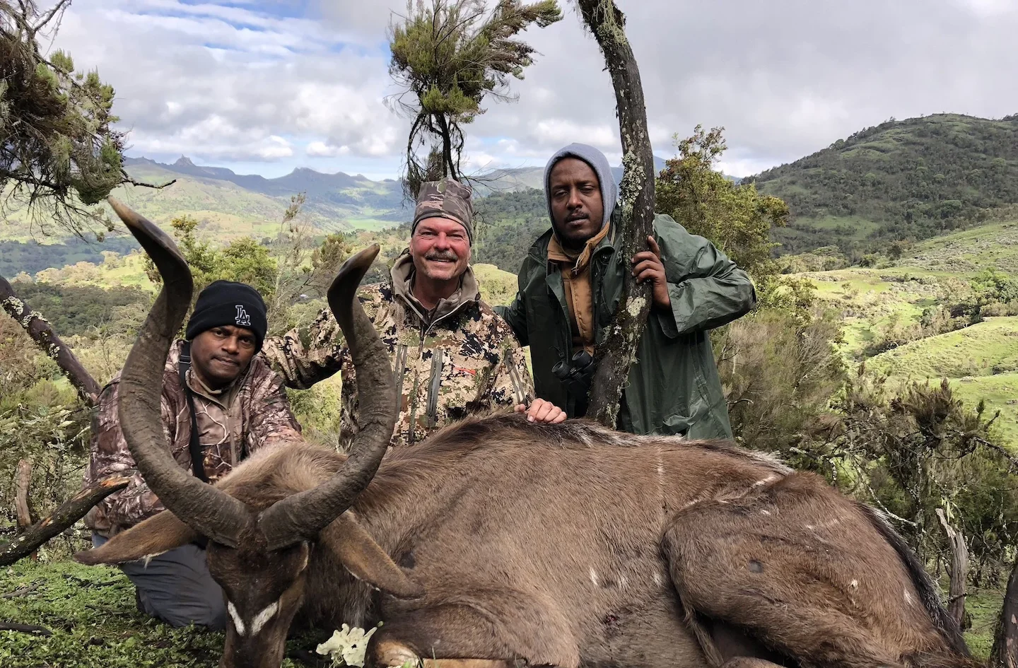 Dire Dawa Hunting: Discover Unique Geography, Distinctive Features, and Exotic Game Species – Unlock the Adventure of Ea…