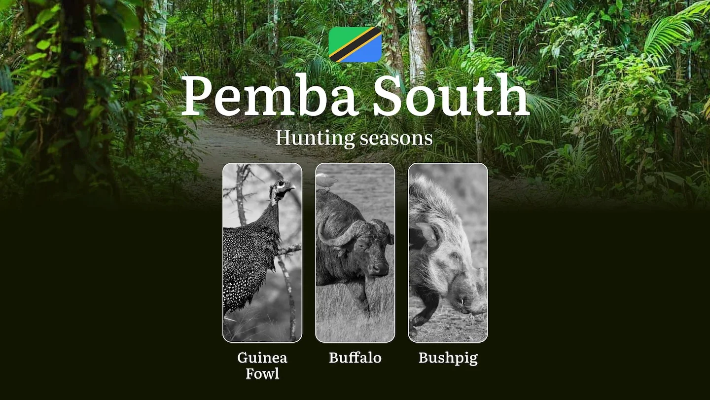 Designated Hunting Months in Pemba South: Regional Guidelines, Hunting License Application Process, Penalties for Off-Se…