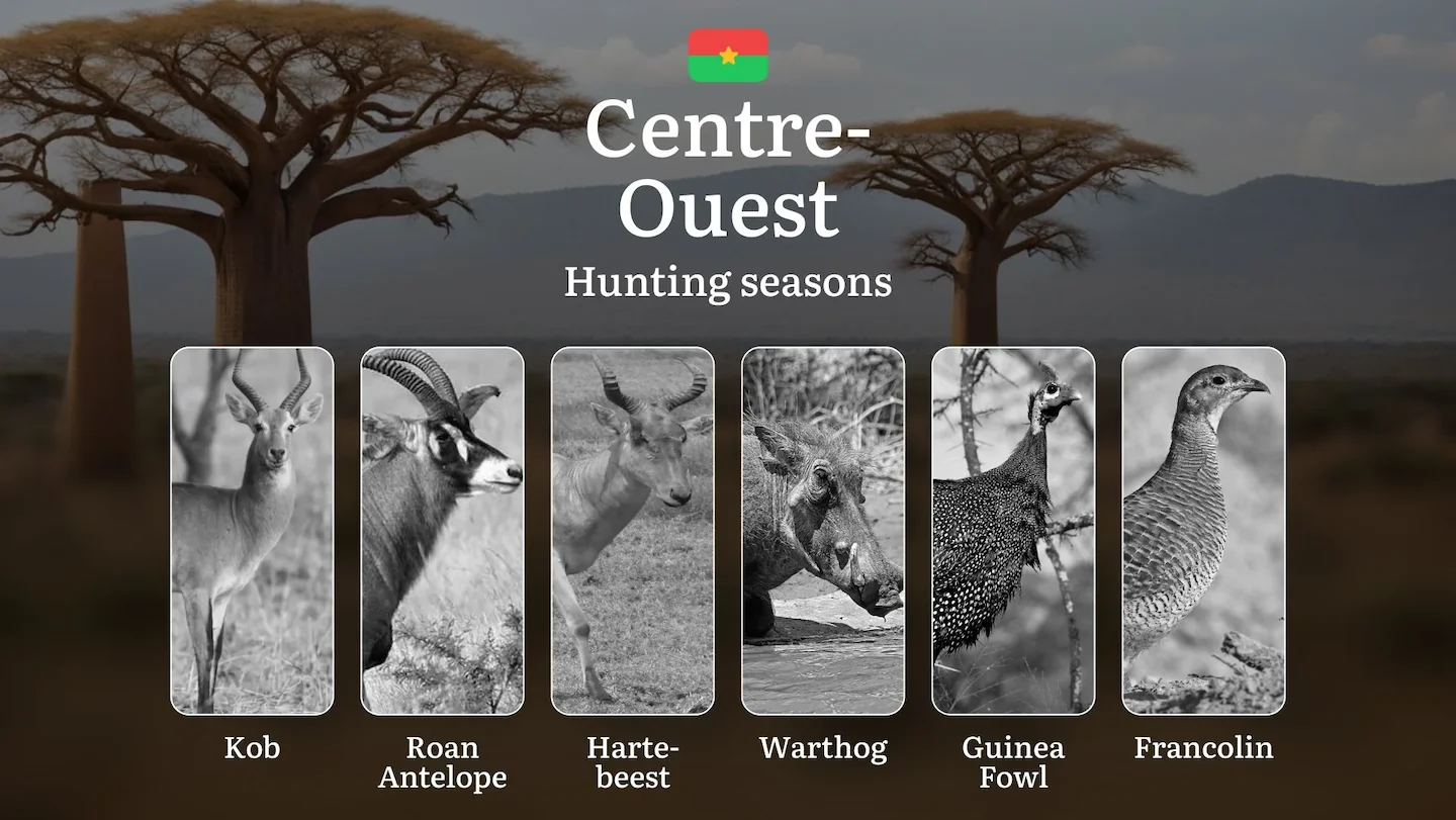 Hunting Seasons in CENTRE-OUEST: Legal Requirements, Restrictions, General Rules, Seasonal Patterns, Protected Species,…