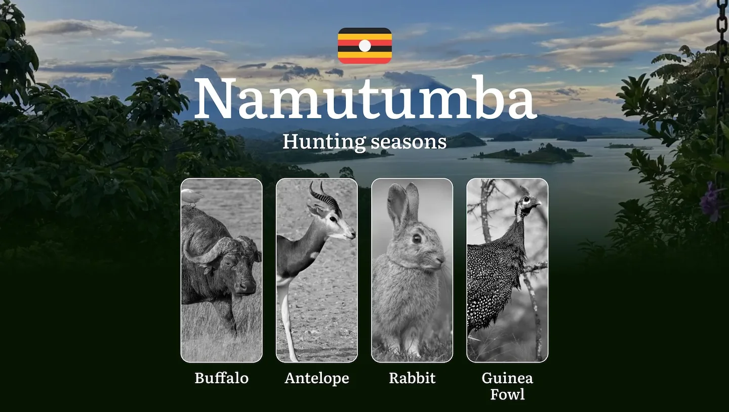 Seasonal Hunting Periods in Namutumba: Limits and Seasonal Prohibitions, Licensing Conditions, Fines and Legal Effects o…