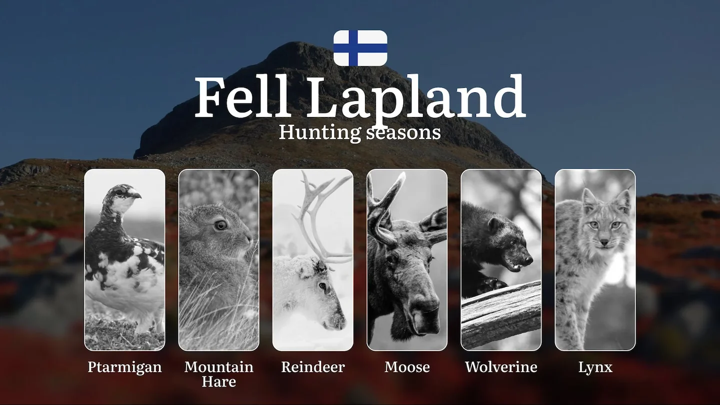 Hunting Seasons in FELL LAPLAND: Required Documents, Restrictions, General Rules, Penalties for Violating Regulations an…