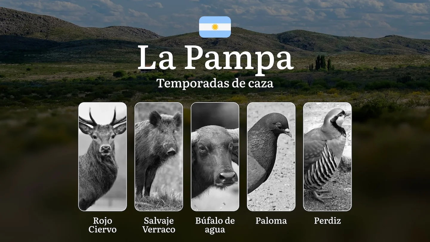 Caza en La Pampa: Guía Completa de Temporadas, Regulaciones y Trofeos en Argentina, Características Climáticas