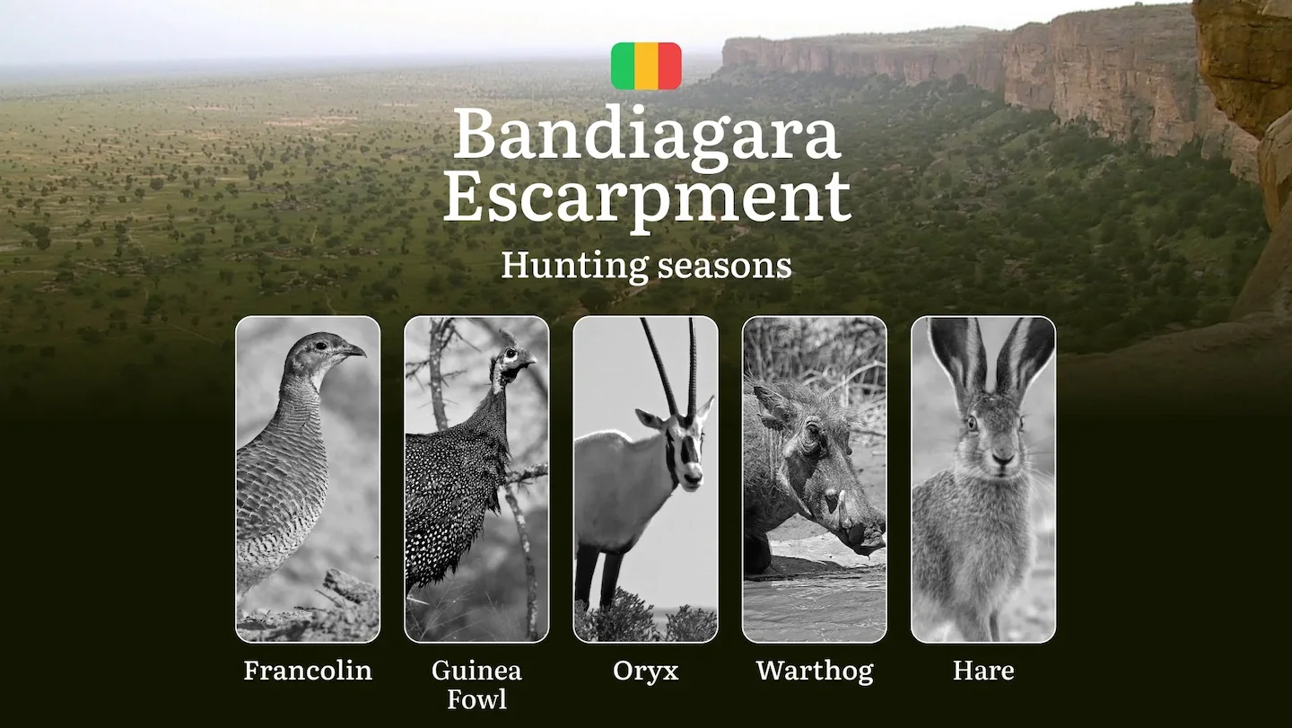 Hunting Seasons in Bandiagara Escarpment: Regional Regulations, Obtaining a Hunting License in the Region, Penalties for…