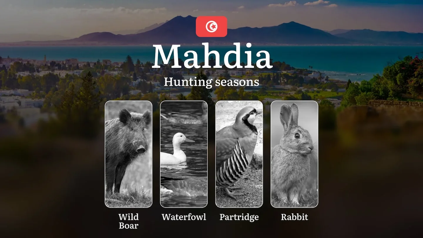 Hunting Seasons in MAHDIA: Key Dates, General Rules, Licensing Requirements and Practical Recommendations