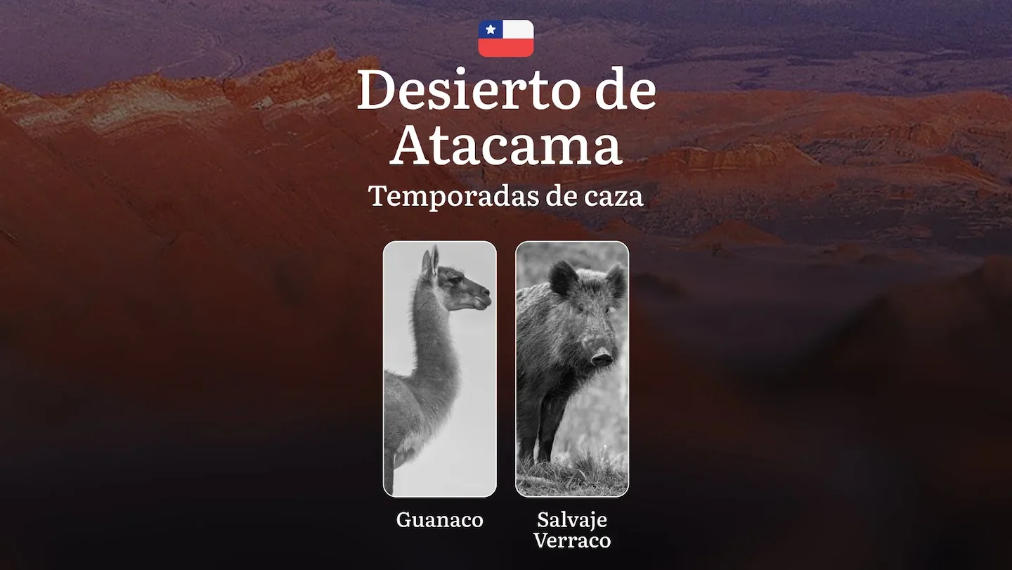 Fechas de caza en el Desierto de Atacama, Chile: épocas, permisos, normativa y mejores períodos para la caza