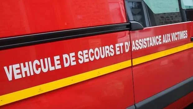 Orne: un sanglier provoque un accident de la route, le conducteur légèrement blessé