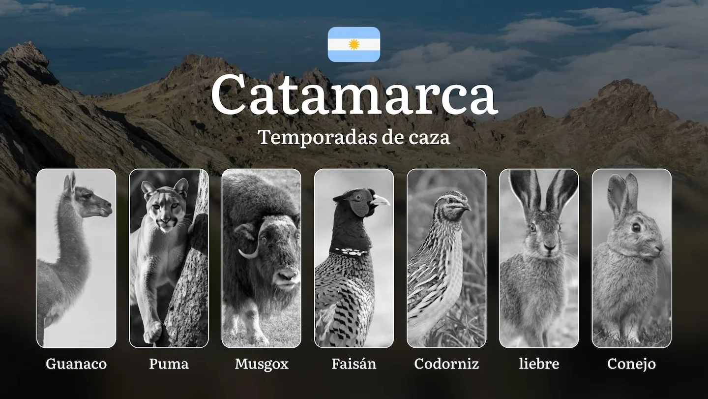 Argentina, región de Catamarca: épocas de caza, permisos y normativa, prohibiciones y restricciones, consejos para plani…
