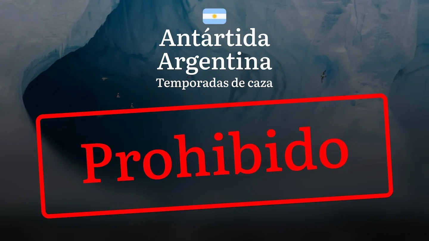 La región Antártida Argentina: normas y fechas de caza, restricciones y prohibiciones, licencias y ayuda de clubes de ca…