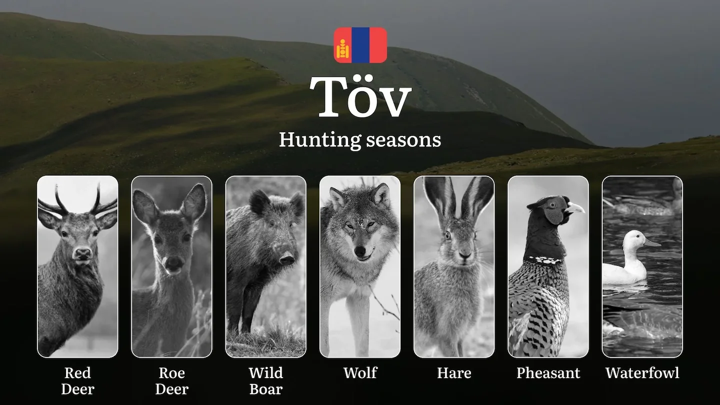 Hunting Periods and Permits in Töv Province: A Detailed Look at Game Movement Throughout the Year, Seasonal Limits, and…