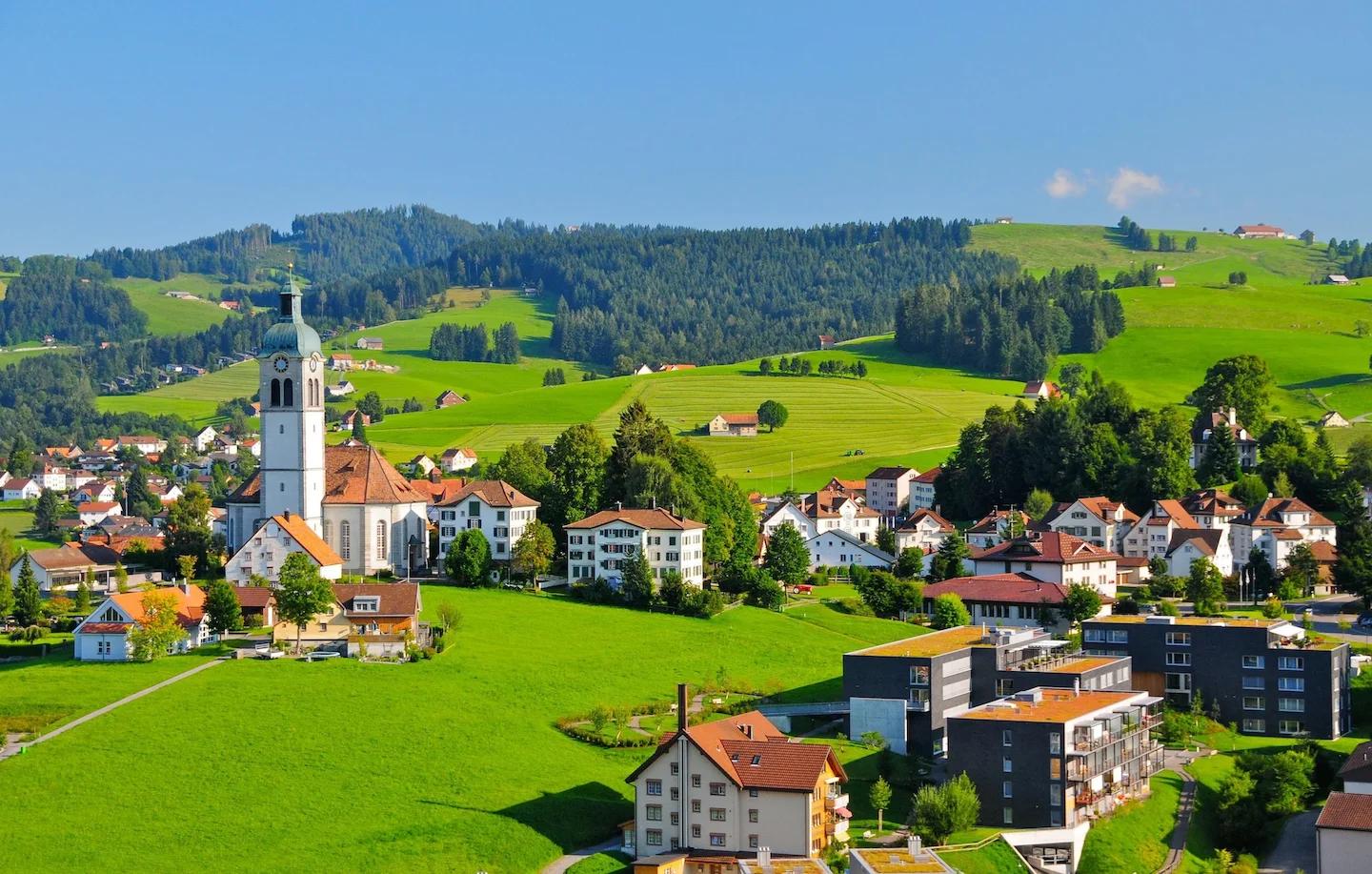 Jagd St.Gallen 2026: Abschusszahlen, Jagdpsychologie und Kontroversen