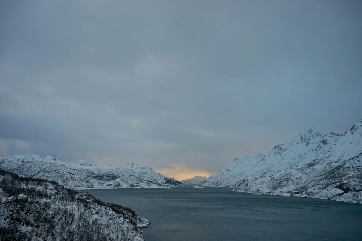 Kristiansand Hunting Clubs in Norway: A Complete Guide for Hunters