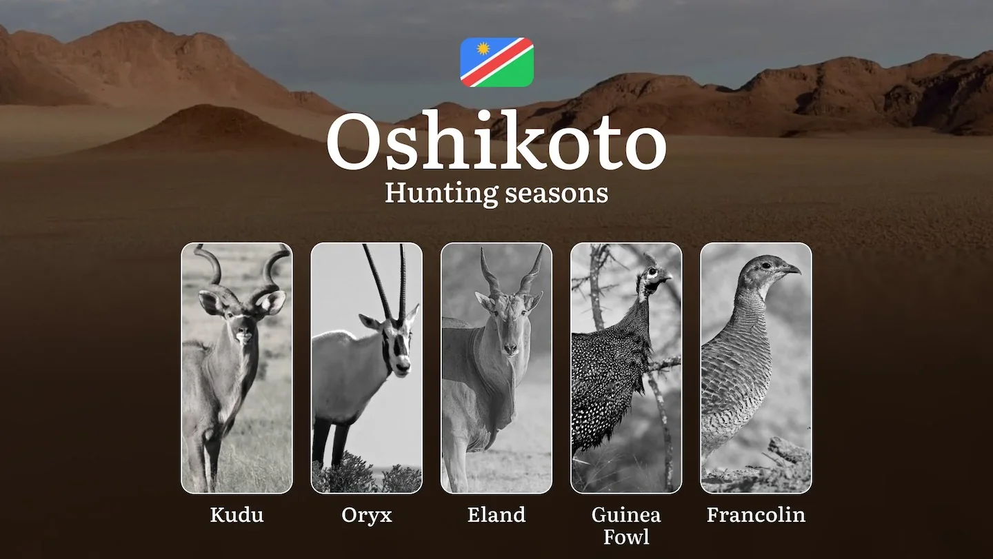 Hunting Access Dates in Oshikoto (Namibia): Hunting Limits by Law and Season, Licensing Details, Penalties for Rule Brea…