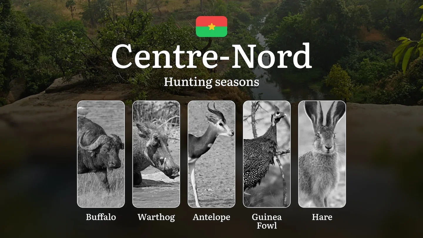 Hunting Seasons in CENTRE-NORD: General Rules, Peak Activity Periods, Hunting Festivals, Protected Species and License R…