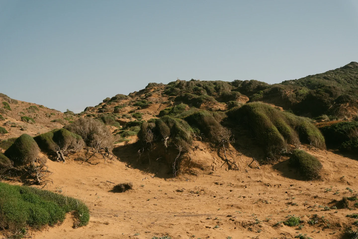 Bird Hunting and Big Game in Fatick: Clubs, Legislation and Communities