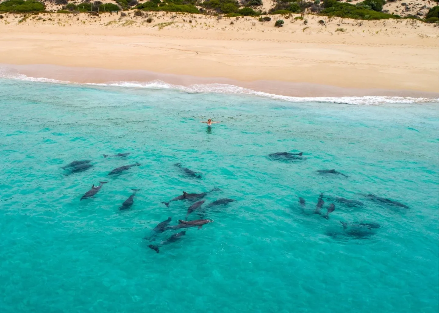 Eyre Peninsula Hunting: Legislation in Coastal Regions, Demographics, Associations and Clubs, Laws and Hunting Seasons