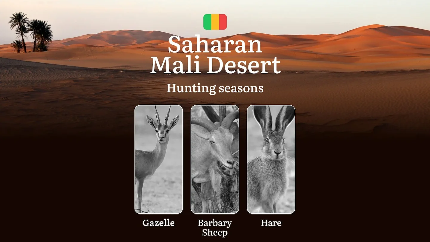 Hunting Seasons in Mali Desert: Regional Regulations, Obtaining a Hunting License in the Region, Penalties for Violating…
