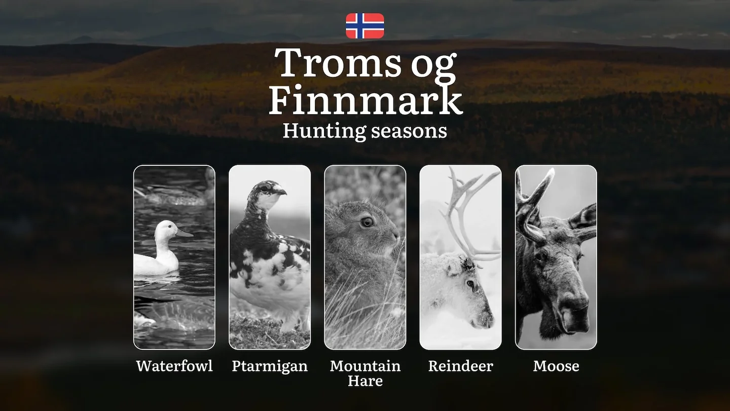 Hunting Periods and Permits in Troms og Finnmark: A Detailed Look at Game Movement Throughout the Year, Seasonal Limits,…