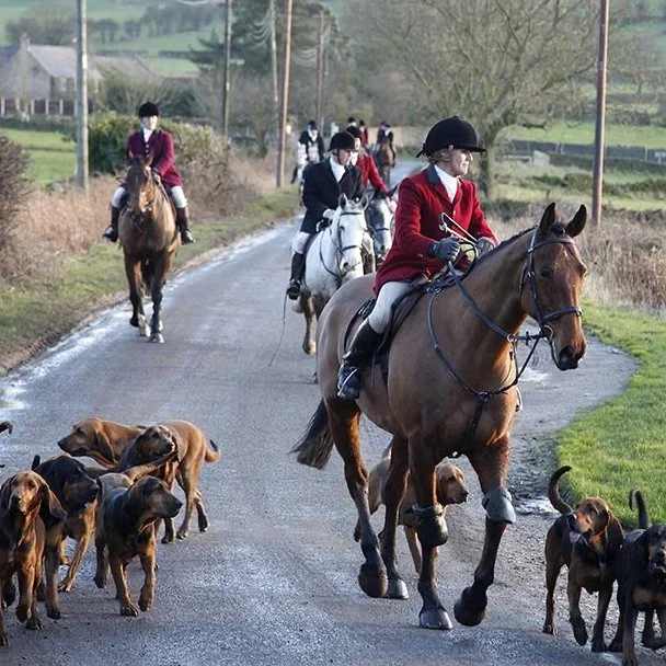Chris Packham Live‑Streams Five‑Hour Confrontation With Dorset Fox Hunt in Bid to Expose Illegal Activity