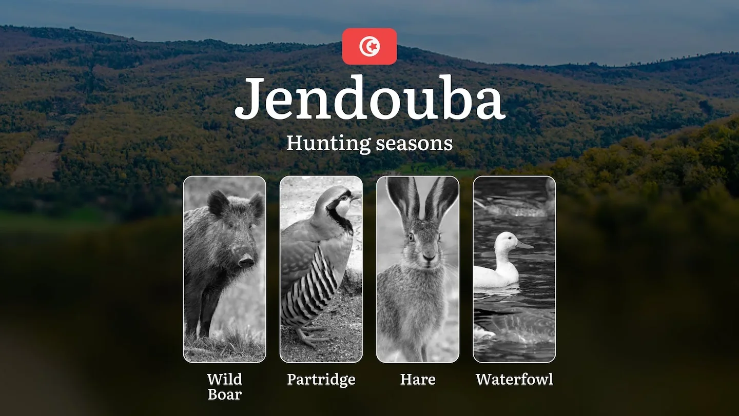 Hunting Seasons in JENDOUBA: Opening and Closing Dates, Protected Species, Permit Requirements and General Hunting Rules…