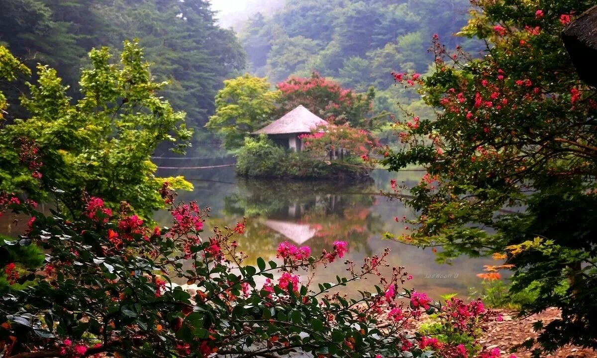 제주도 야생동물 사냥